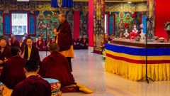 IMG-20250316-WA0029