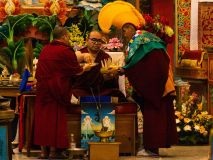 IMG-20250316-WA0046