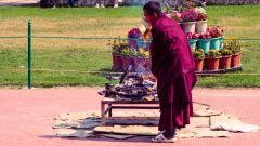 IMG-20250316-WA0047